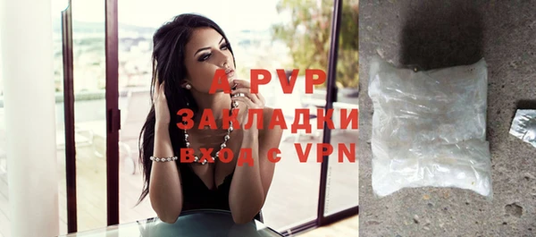 эйфоретик Баксан