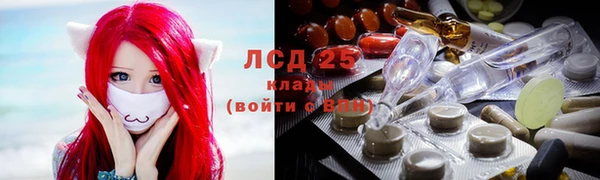 эйфоретик Баксан
