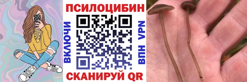Псилоцибиновые грибы MAGIC MUSHROOMS  Рыбинск 