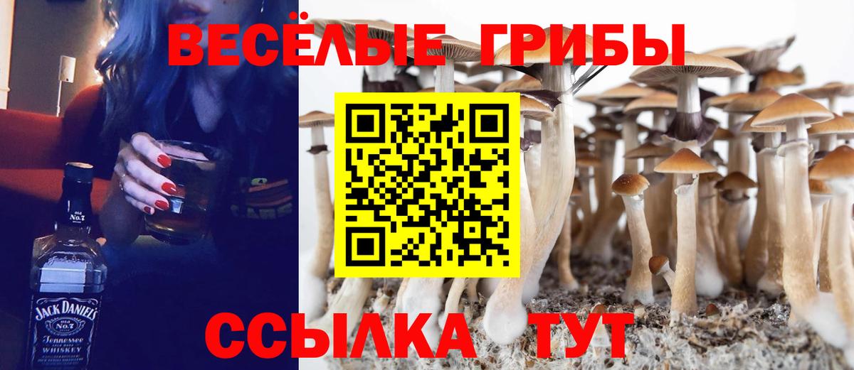 Псилоцибиновые грибы мицелий  Вход с VPN  Рыбинск  Галлюциногенные грибы Magic Shrooms 